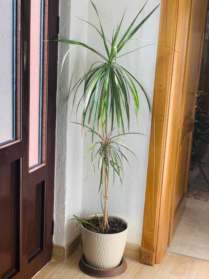 Gara 5 Apartment Котор Екстериор снимка